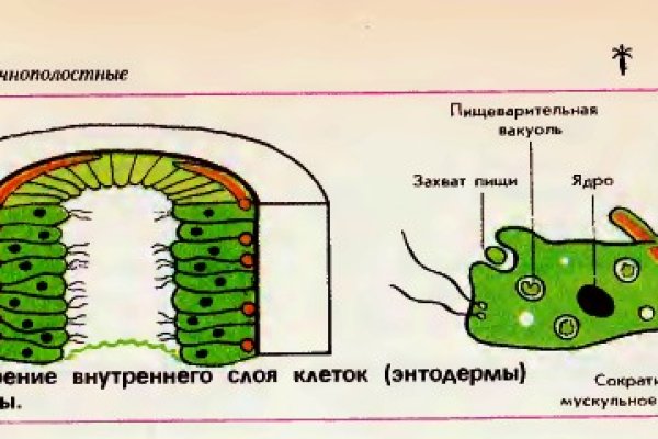 Блэк спрут ссылка bs2me run