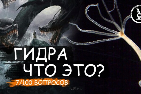 Блэк спрут как зайти bs2web top