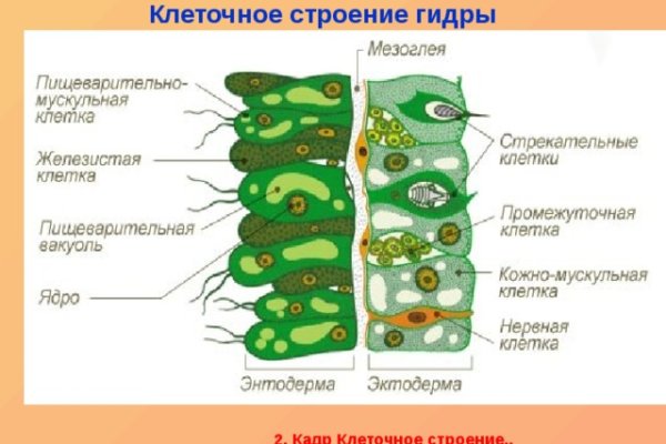 Блэкспрут онион blacksprute com